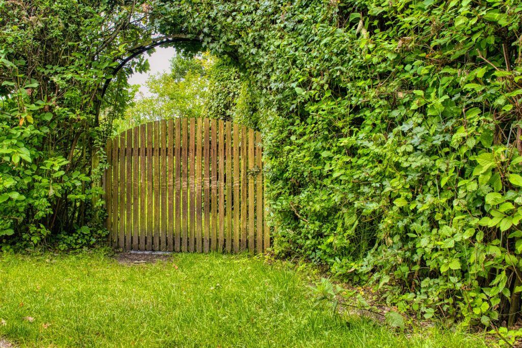 garden gate, wood, goal